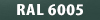 RAL 6005
