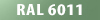 RAL 6011