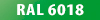 RAL 6018